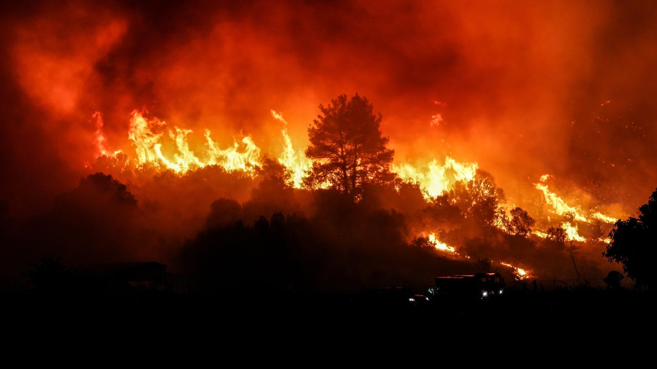 Çanakkale Gelibolu'da orman yangını - Son Dakika Haberleri