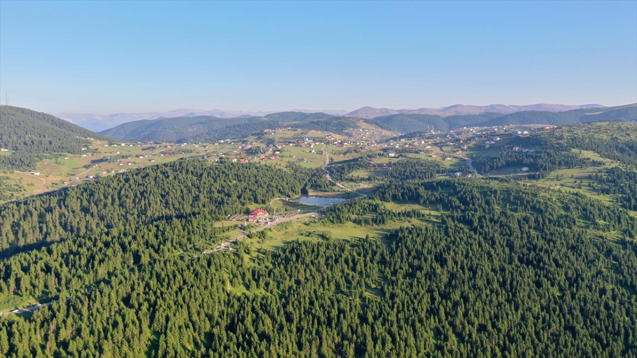 Trabzon'daki "Haçka Yaylası" doğaseverlerin rotasında yer alıyor