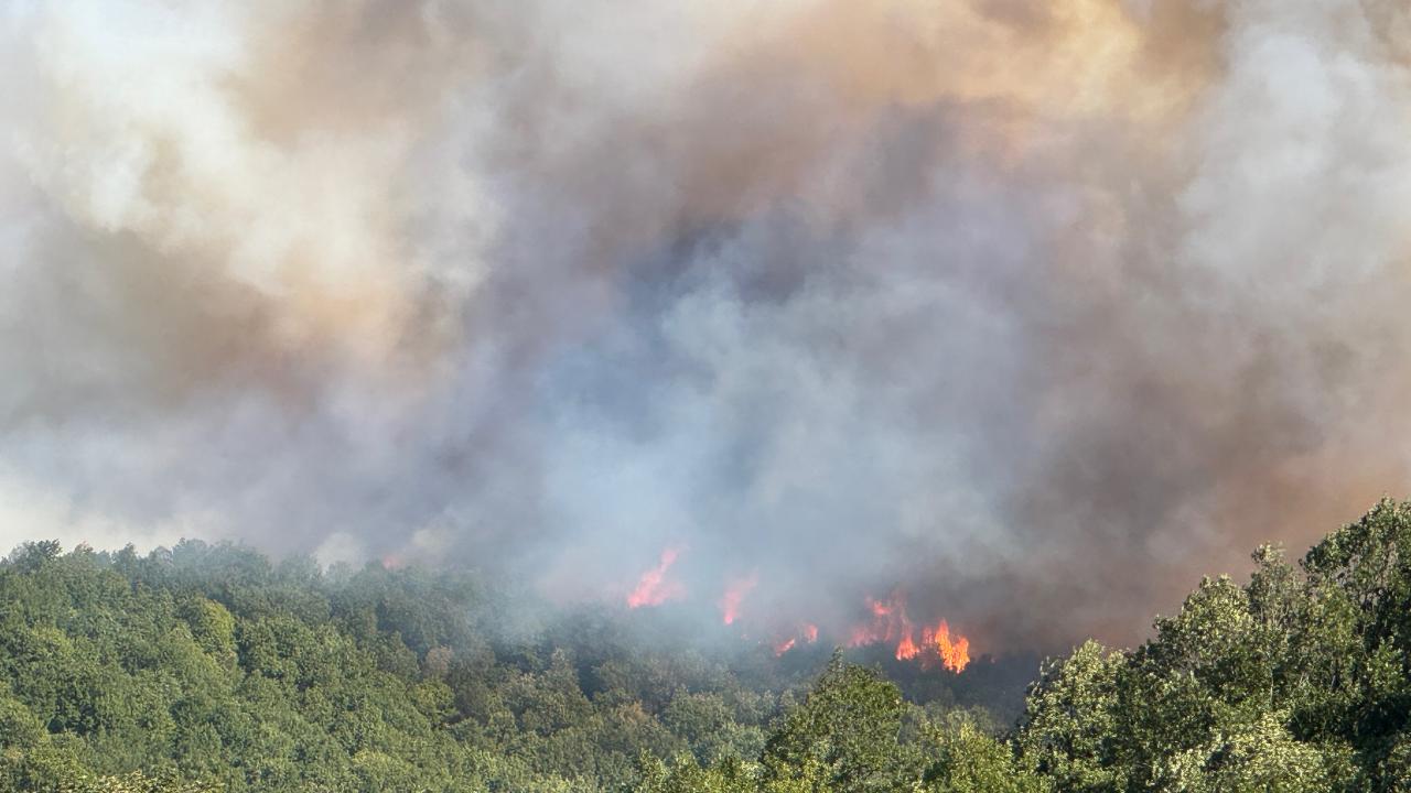 Kocaeli'de çıkan orman yangınına müdahale ediliyor