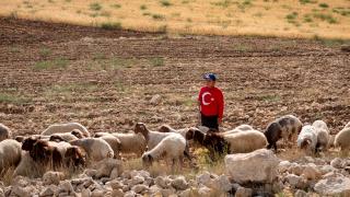 Toroslar'da yayla hayatı