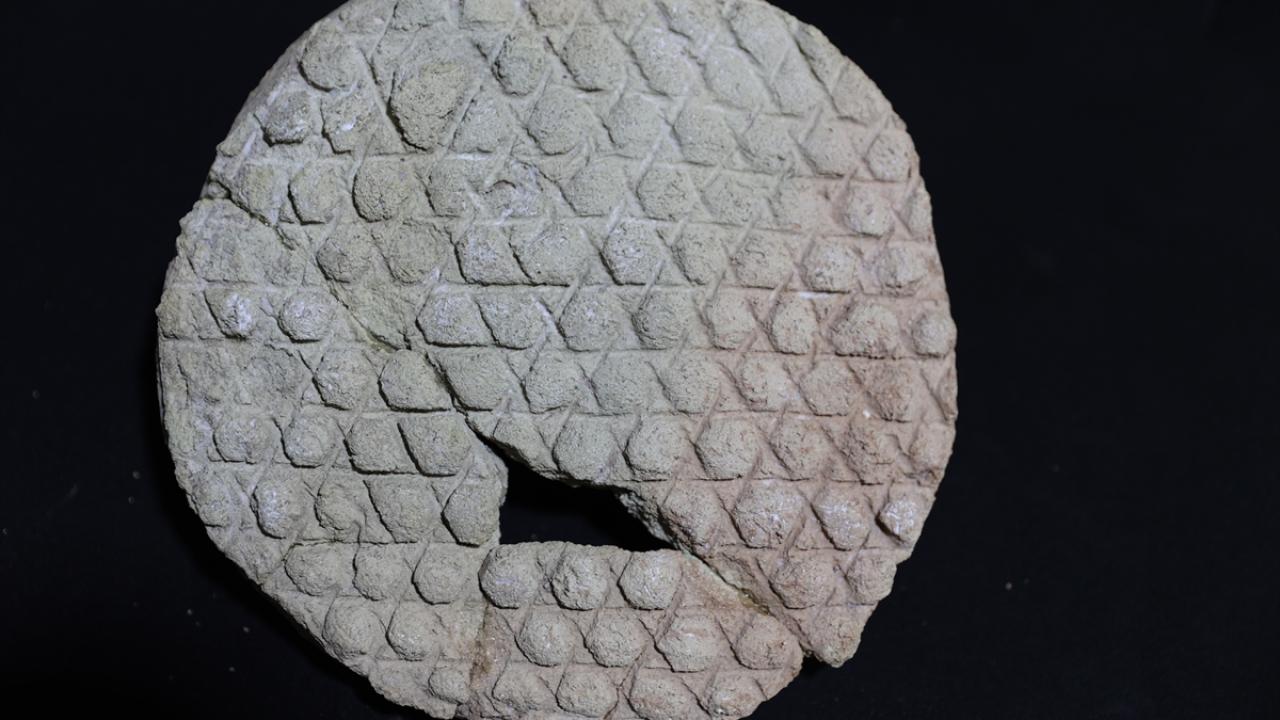 "Baklava dilimi desenli"