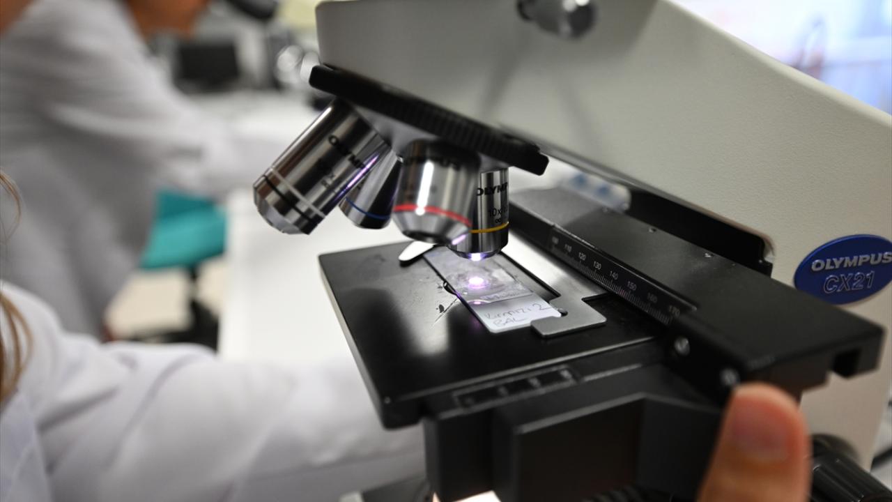 "Yediğimiz bala daha dikkatli bakmamız gerekiyor"