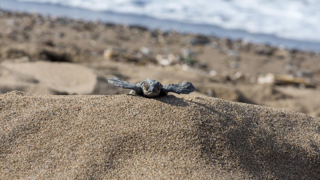 "Büyük ekiple çalışma zorunluluğumuz var"