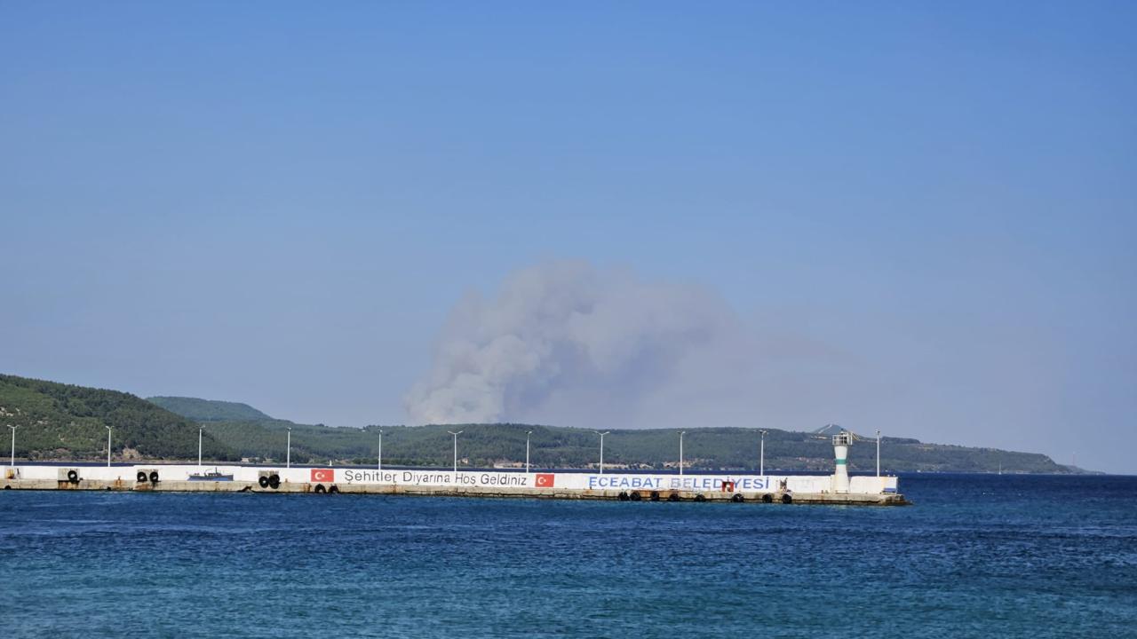 canakkale-yanginaa-2390872.jpg