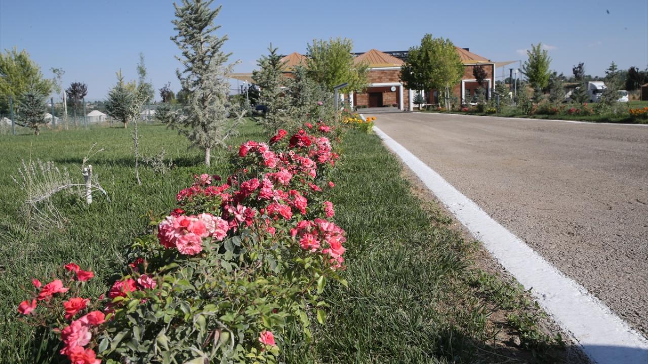 Malazgirt Zaferi kutlamalarının yapılacağı parka 1071'er çiçek ve fidan dikildi