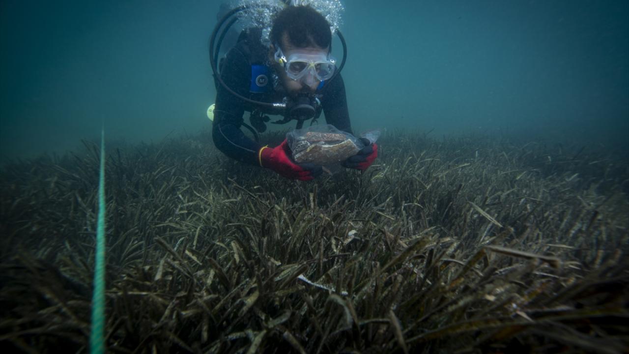 Dalgıç arkeologlar, su altında 7 bin yıllık limanda yeni keşifler için çalışıyor