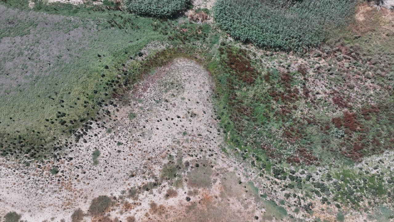 Edirne'deki Korucuköy Göleti'nin su seviyesi kuraklık nedeniyle azaldı