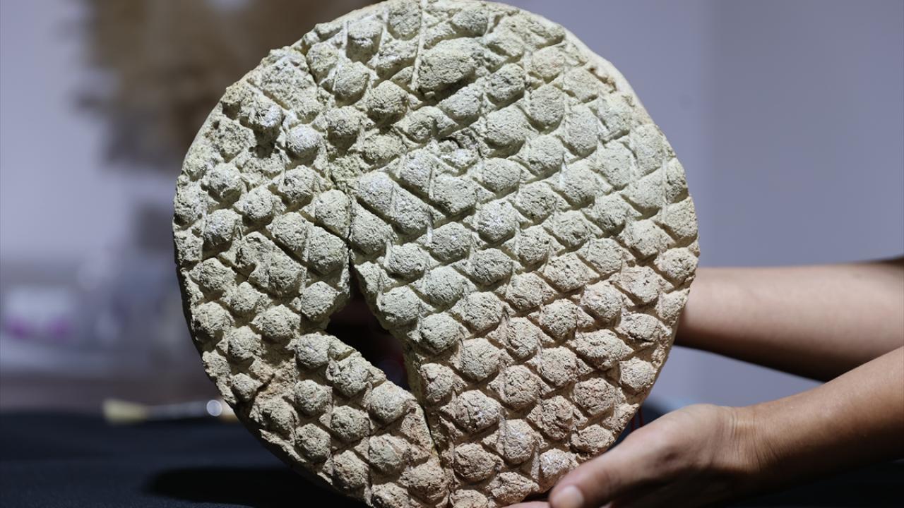 Harran'da baklava dilimi desenli tarihi ekmek kalıbı bulundu