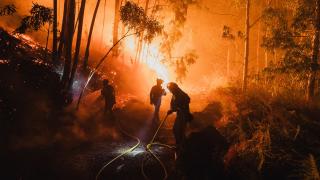 İspanya, orman yangınlarını kontrol altına almak için mücadelesini sürdürüyor
