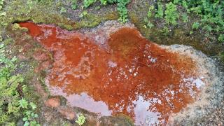 Kuzalan Tabiat Parkı kızıl renkteki suyu ve travertenleriyle büyük ilgi görüyor