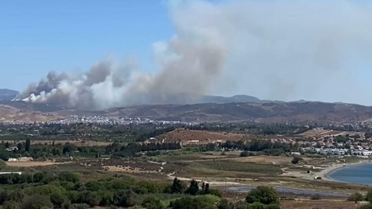 İzmir'de orman yangını