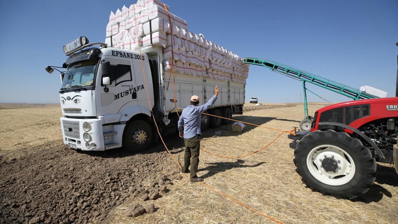Saman işçileri sıcak hava ve toza karşı ekmek mücadelesi veriyor