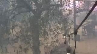 Çanakkale'deki orman yangınının ilerleme hızı güvenlik kamerasına yansıdı