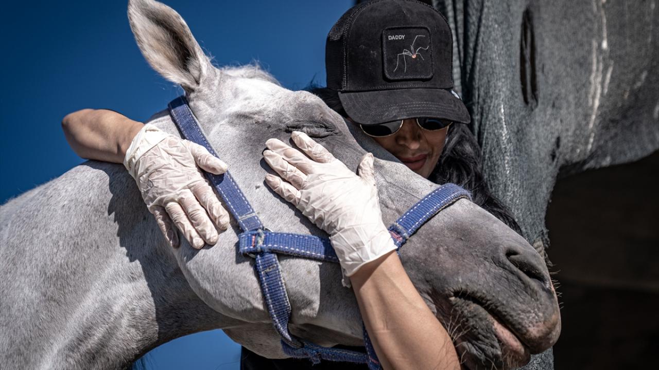 "Hayat motivasyonunu artırıp stres yükünü azaltan bir spor"