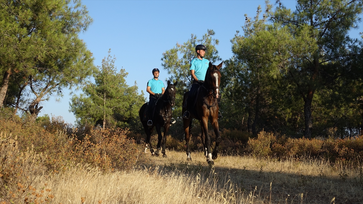 Balıkesir'de atlı birlikler ile komandolar ormanların güvenliği için 24 saat nöbet tutuyor