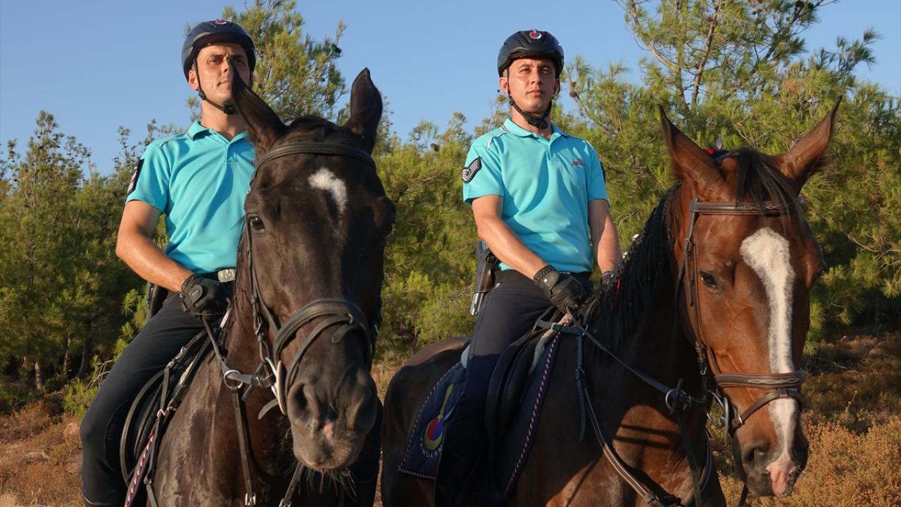 Balıkesir'de atlı birlikler ile komandolar ormanların güvenliği için 24 saat nöbet tutuyor