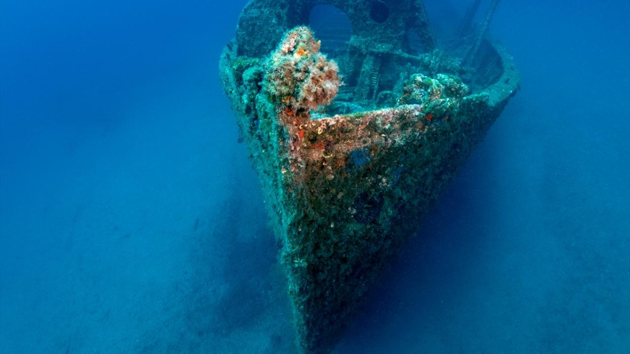 "Onlar artık dalış turizminin hizmetinde"