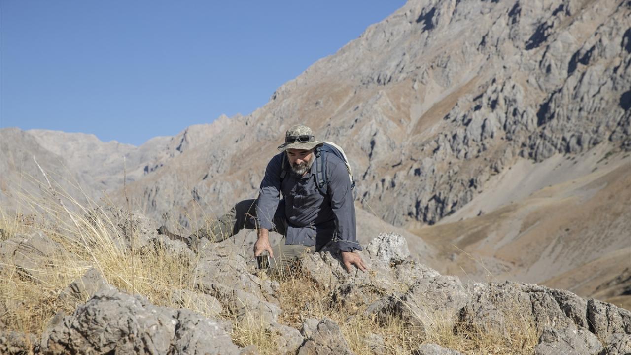 Projeler hazırlayıp biyoçeşitliğe katkı sunuyor