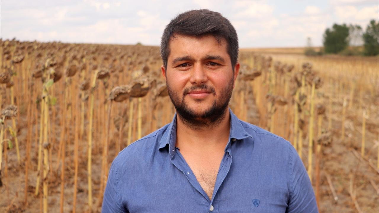 "Anıza ekim tasarruf sağlıyor, verimi arttırıyor"