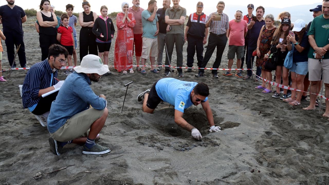 Yavruların güvenle denizle buluşması sağlanıyor
