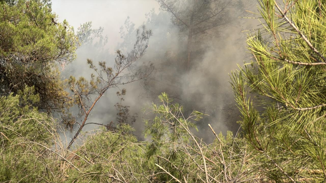Kastamonu-Karabük sınırında ikinci yangın
