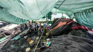 Güney Marmara ve Kuzey Ege'deki balıkçılar "vira bismillah" için hazır