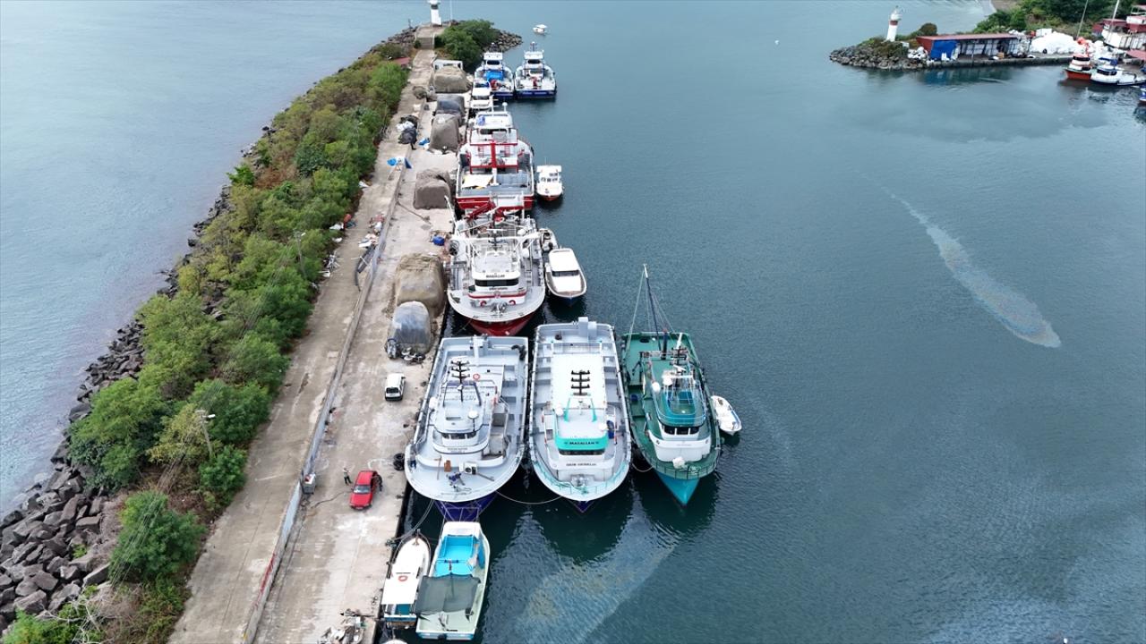 Karadenizli balıkçılar yeni sezonda hamsiden umutlu