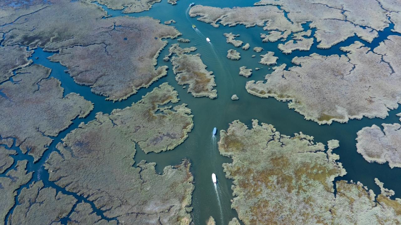 Muğla’nın incisi Dalyan, doğal güzellikleri ve tarihi mirasıyla hayran bırakıyor