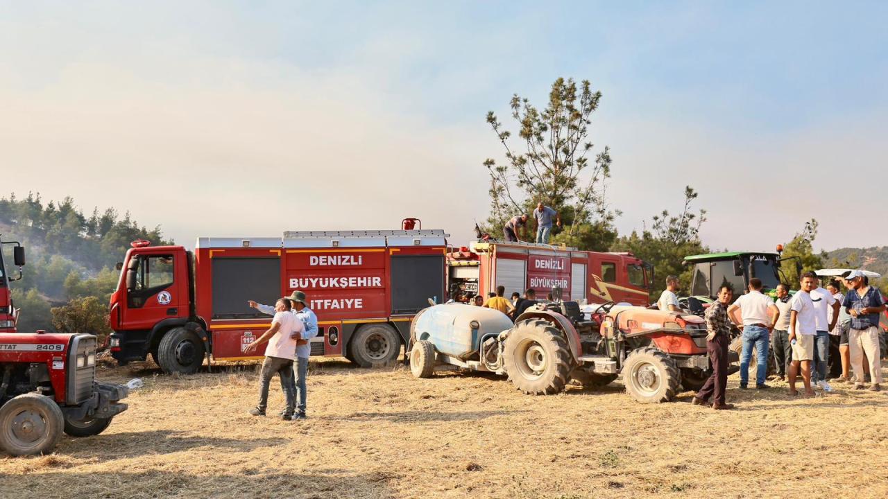 Denizli'nin Pamukkale ilçesinde çıkan orman yangını kontrol altına alındı