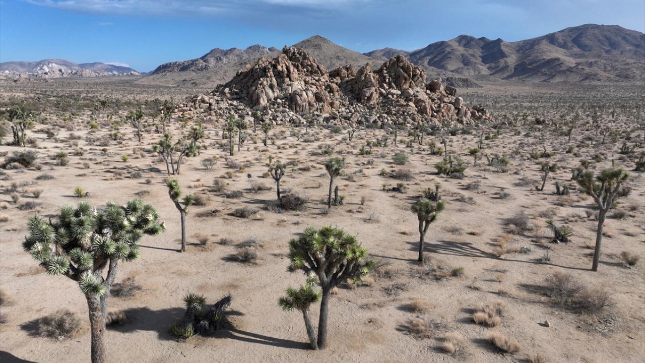 Kaliforniya’daki Joshua Tree Ulusal Parkı