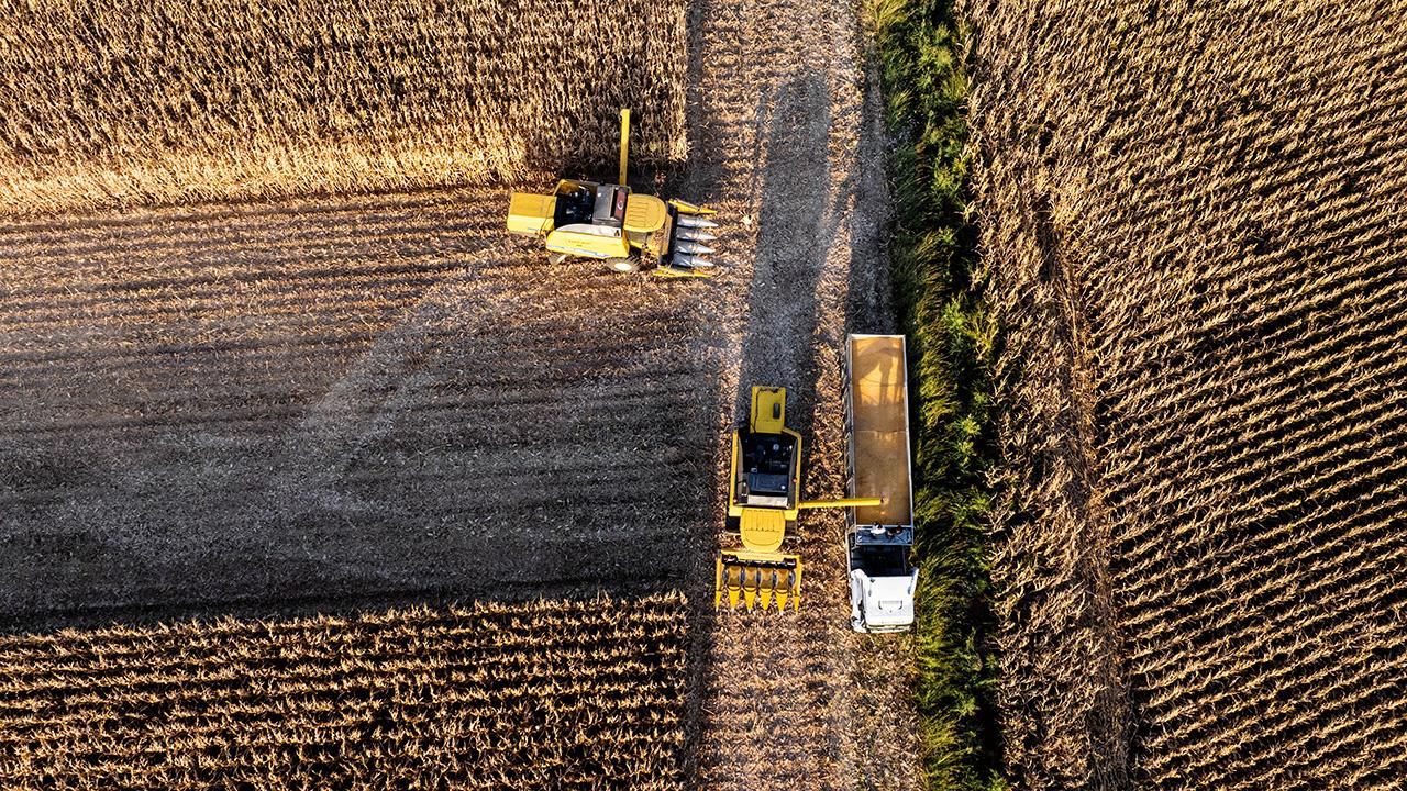 Besni Kaysun Ovası’nda mısır hasadı
