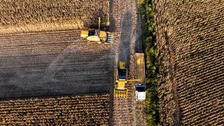 Besni Kaysun Ovası’nda mısır hasadı
