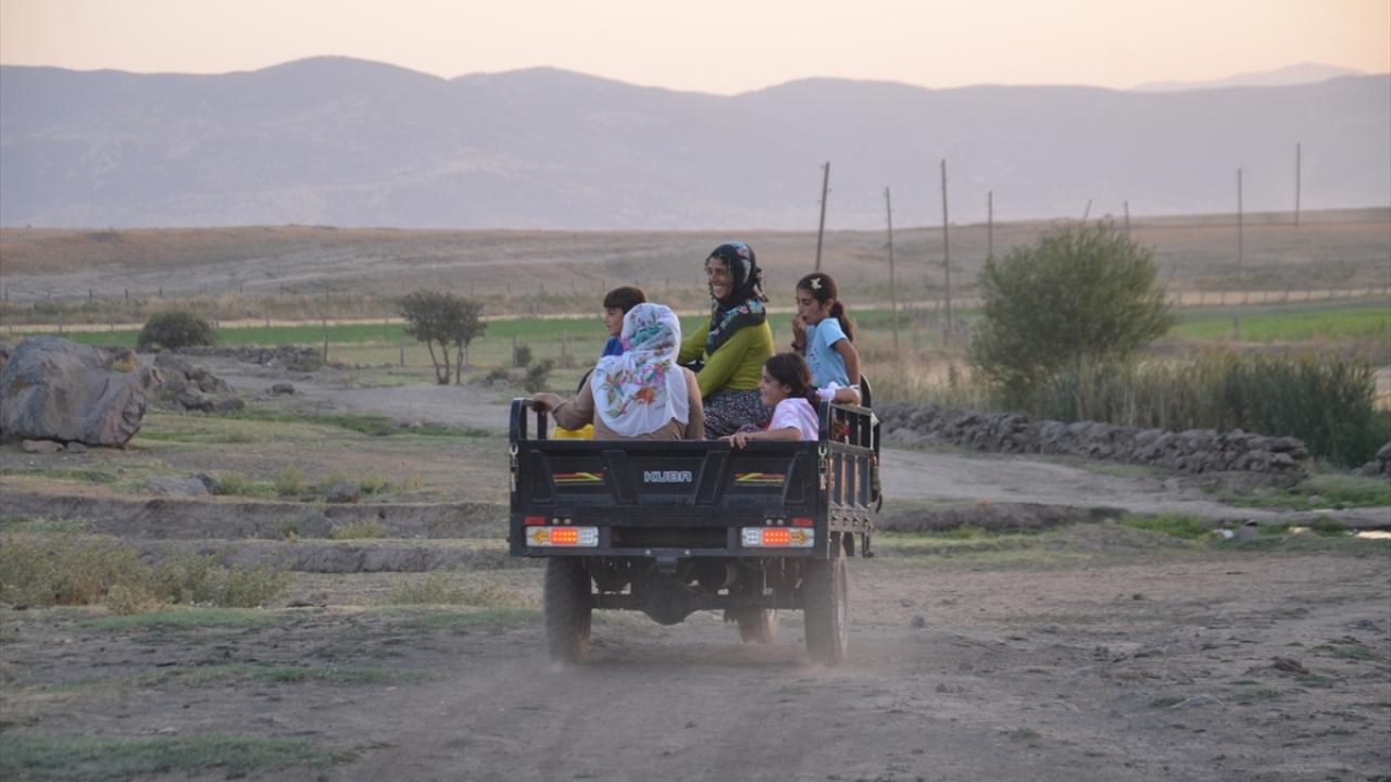 Muş'ta "berivanlar" üç tekerlekli motosikletlerle yaylaya çıkıyor