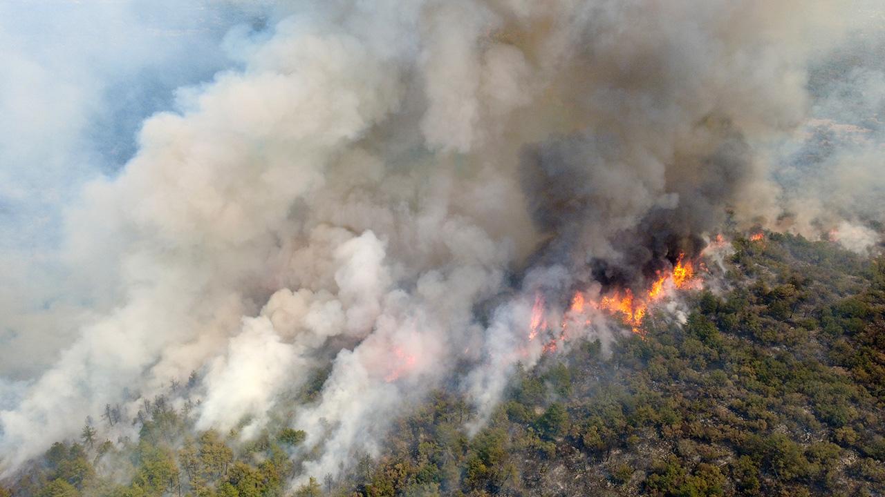 Karabük'teki orman yangını Kastamonu'ya ulaştı