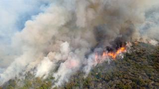 Karabük'teki orman yangını Kastamonu'ya ulaştı