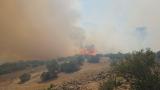 Balıkesir'de orman yangını