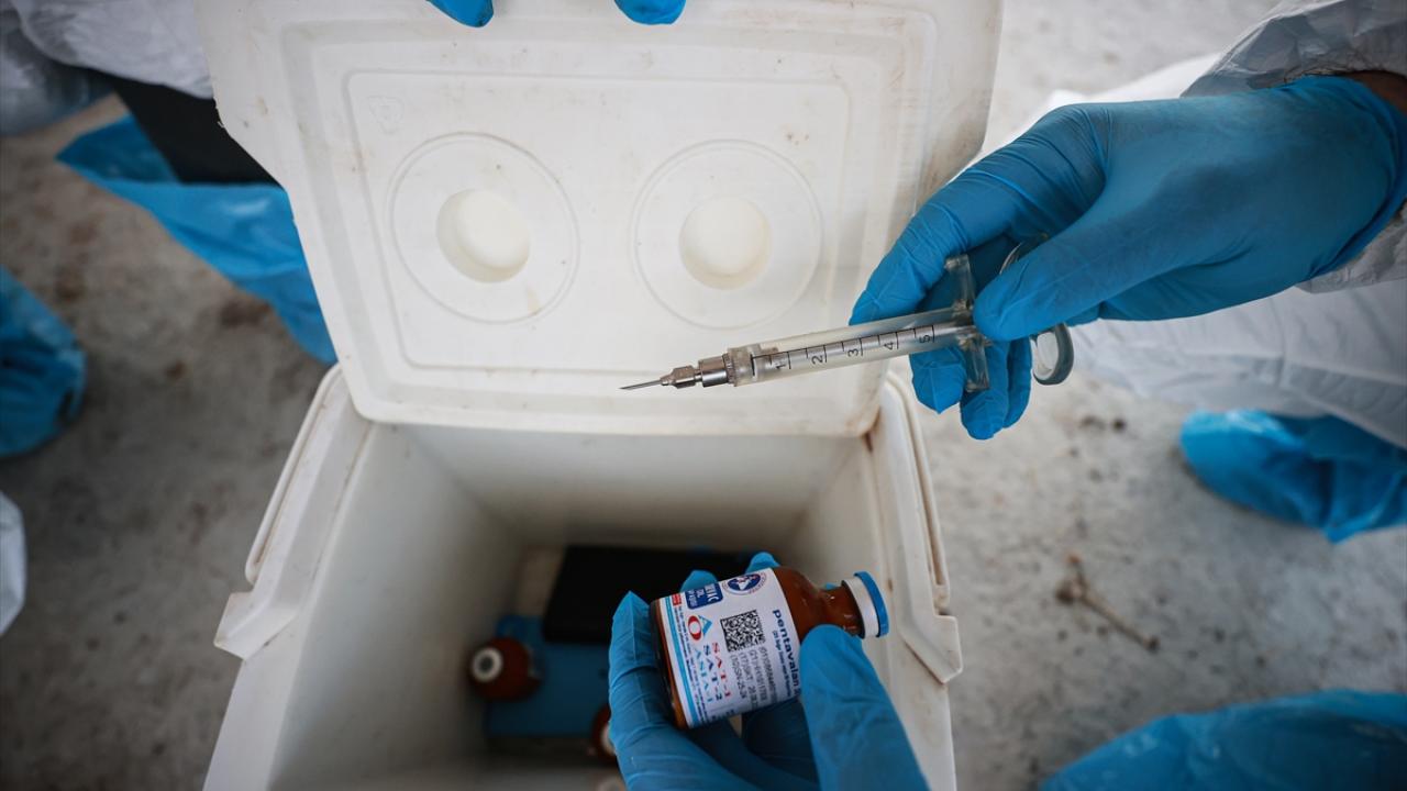 "Bakanlığımıza ücretsiz aşılama desteği için teşekkür ediyoruz"