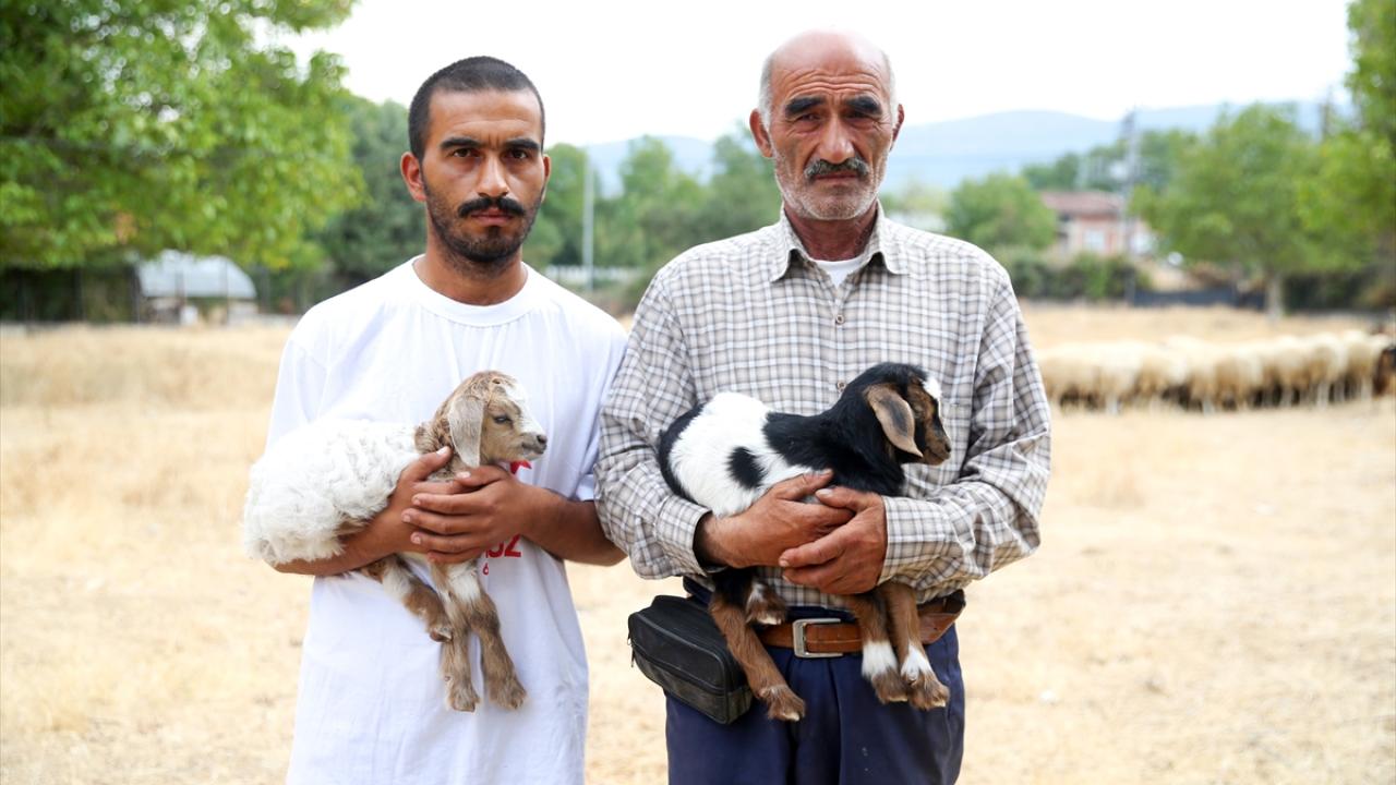 "Her şeyimiz yandı"