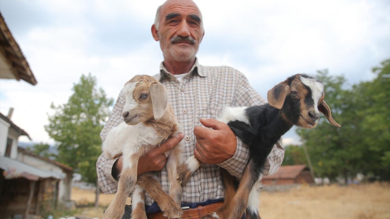 "Tekrar evime kavuşup yurdum olan köyüme dönmek istiyorum"