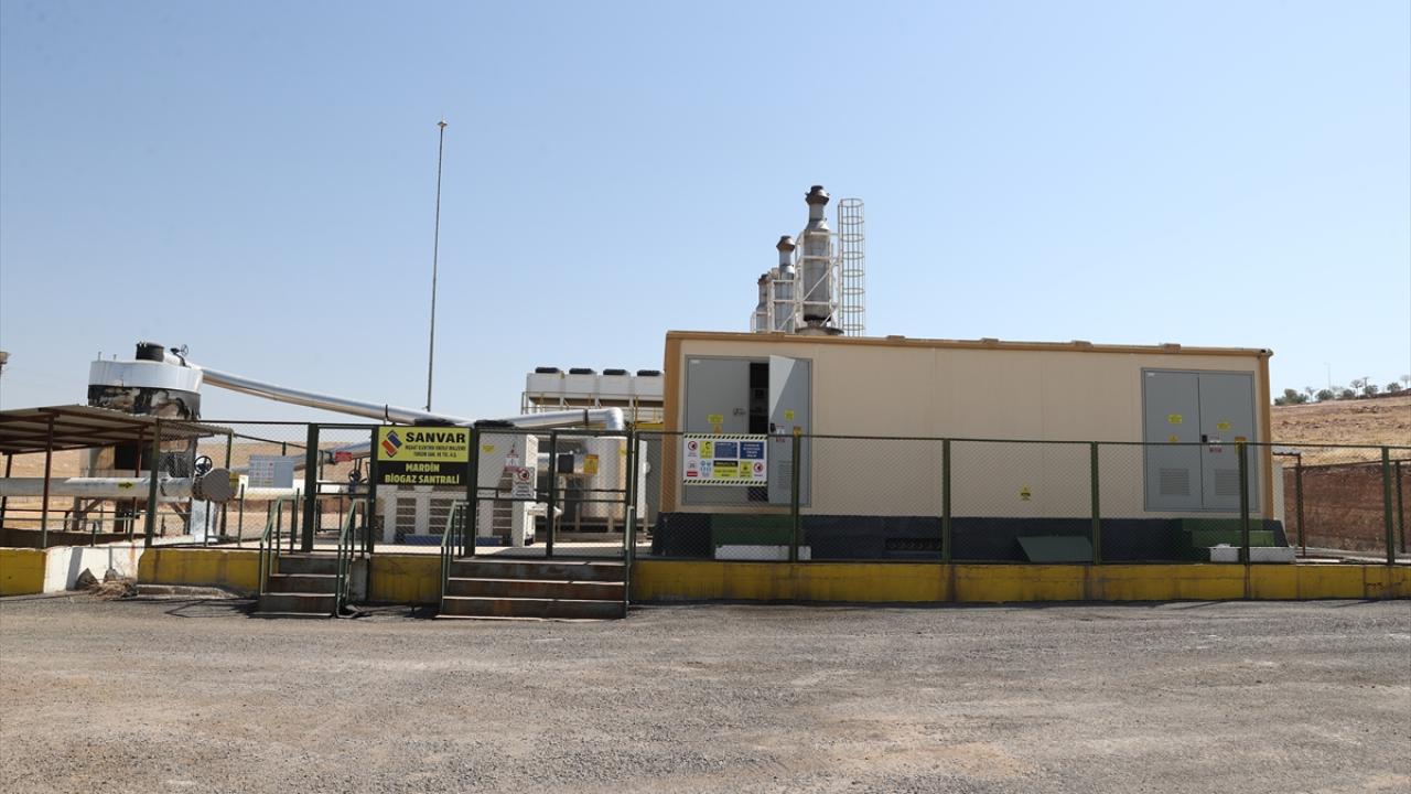 "5 yılda yaklaşık 1 milyon 600 bin ton çöp bertaraf edildi"