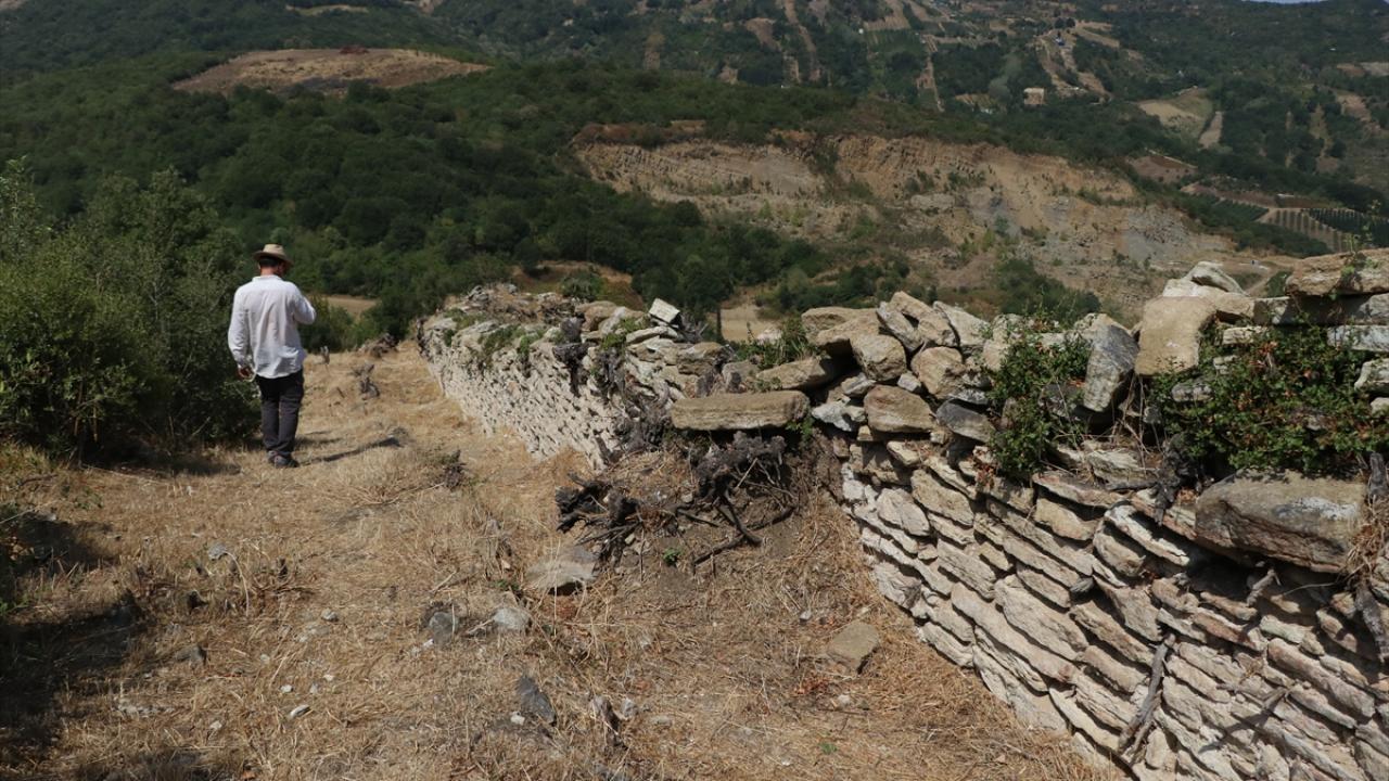 Tarihi Çobankale'deki kazılarda yaşam alanları gün yüzüne çıkarılıyor