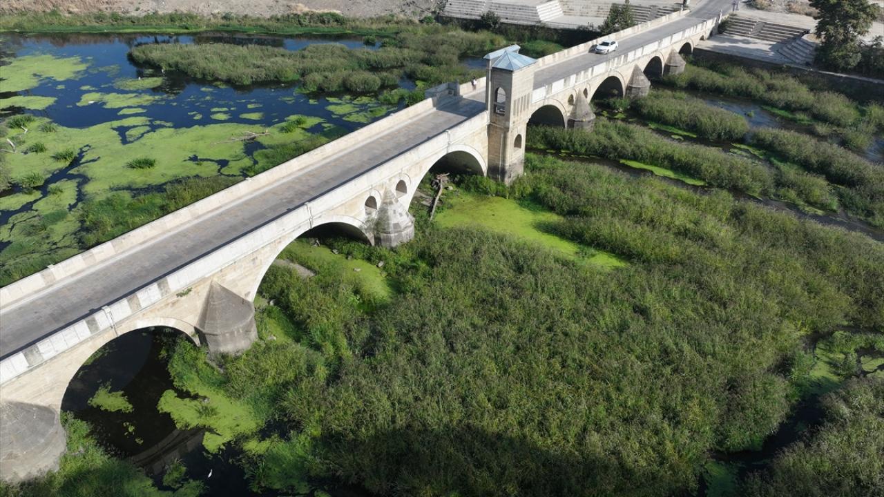 "Nehirler bu yıl daha fazla etkilendi"