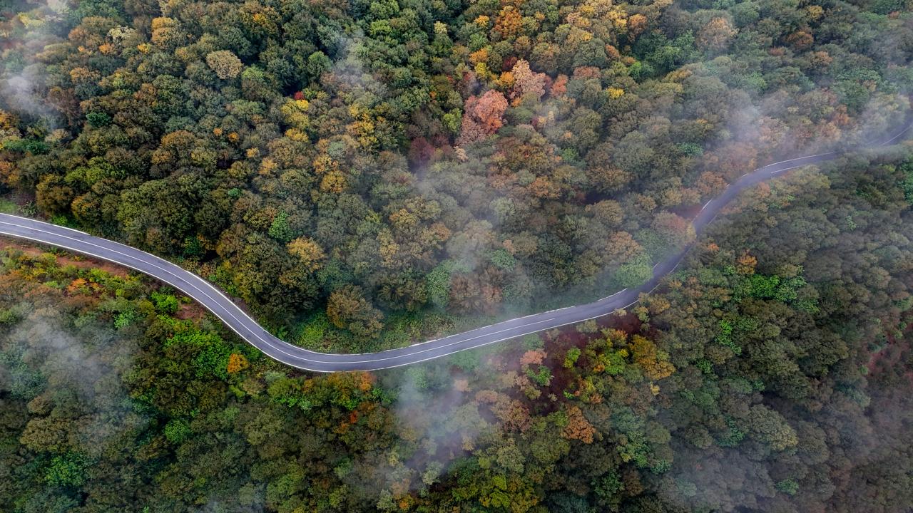 Çam Dağı'nda sonbaharın renkleri sisle buluştu