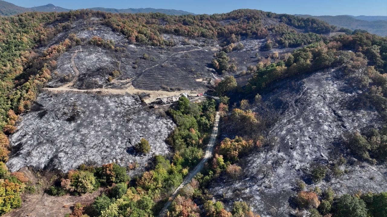 Düzce'deki yangında zarar gören alanlar havadan görüntülendi