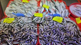 Karabük'te balıklar tezgahtaki yerini aldı