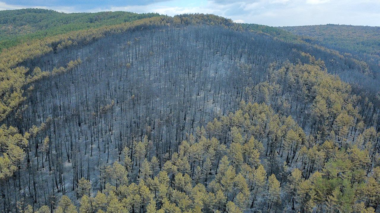 Karabük'te orman yangınlarında zarar gören alanlar havadan görüntülendi