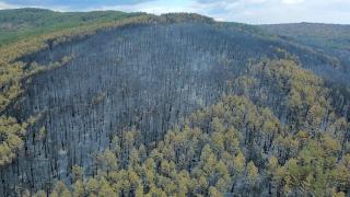 Karabük'te orman yangınlarında zarar gören alanlar havadan görüntülendi