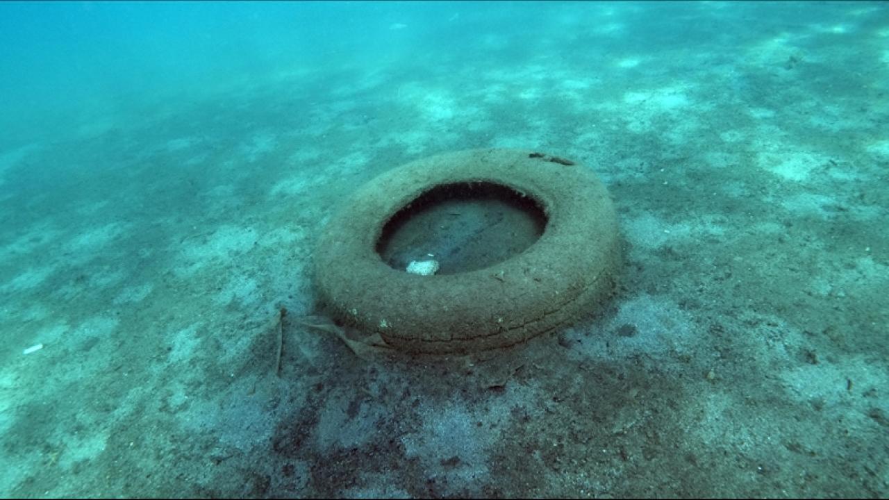 Türkiye'nin plastik kirliliğiyle mücadelesi güçleniyor