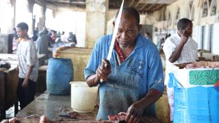 Somalililer Hint Okyanusu'nda hem yüzüyor hem de balık tutuyor