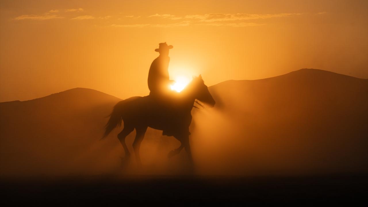 Hürmetçi Sazlığı yılkı atlarına ev sahipliği yapıyor